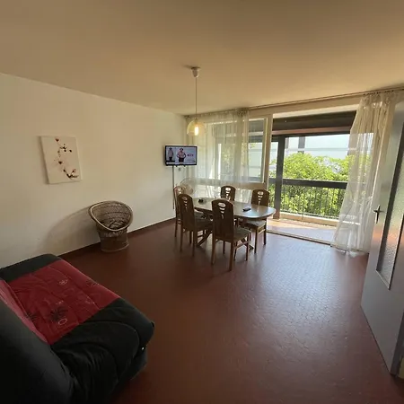 Appartement Grand T3 à Saint-cyprien, 2 Chambres, à 400m, Animaux Admis - Fr-1-106-99 *