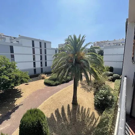 Grand T3 à Saint-cyprien, 2 Chambres, à 400m, Animaux Admis - Fr-1-106-99 Appartement *
