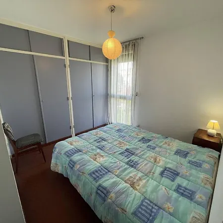 Grand T3 à Saint-cyprien, 2 Chambres, à 400m, Animaux Admis - Fr-1-106-99 * Saint-Cyprien (Pyrenees-Orientales)